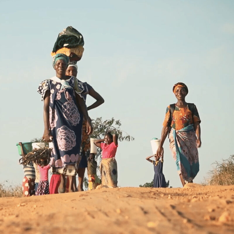 Ants & Grasshopper women